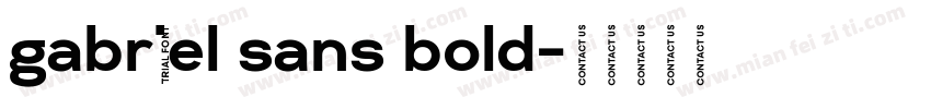 gabriel sans bold字体转换